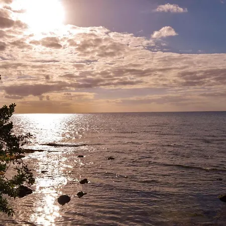 Deck 12 Unit 202 With Stunning Ocean Views Czd202